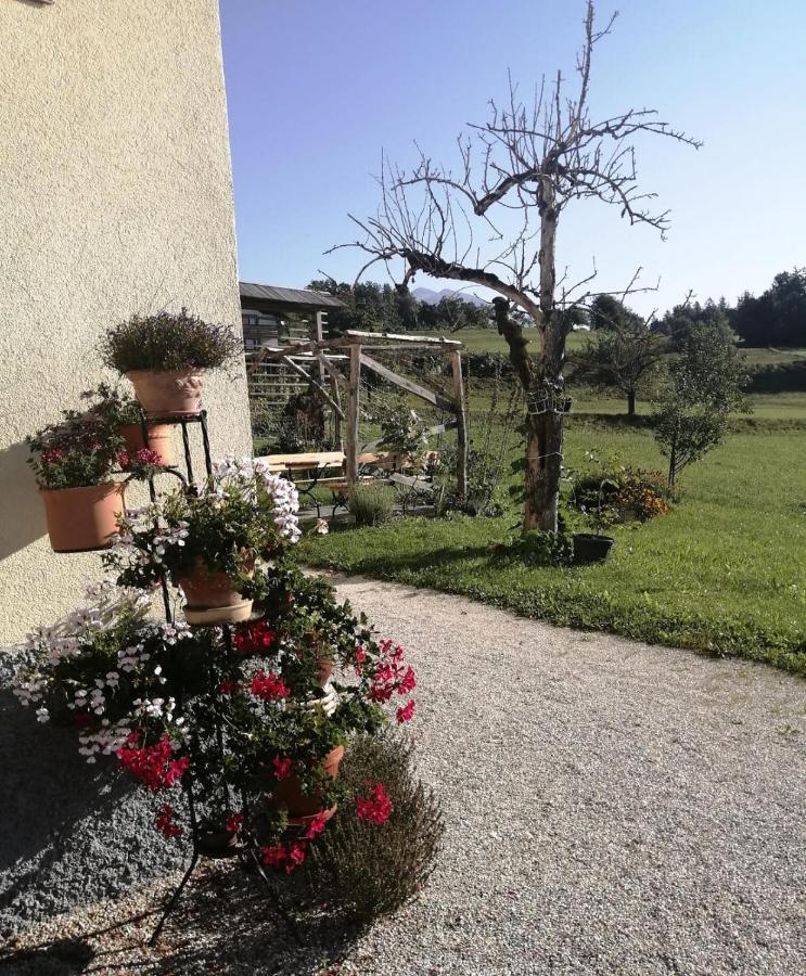 Gasthaus Marta'S House Bled Exterior foto